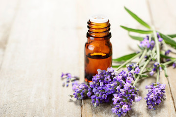 Obraz na płótnie Canvas Lavender essential oil in the amber bottle, with fresh lavender flower heads.