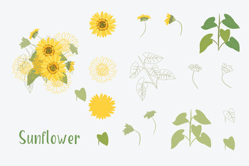Vector Illustration Yellow Sunflowers