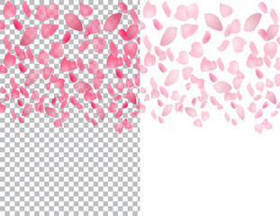 Flying translucent petals of sakura flowers. On a checkered and white background. illustration