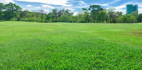 Green grass field in park at city center with blue sky