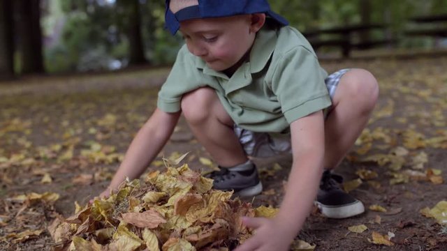 Little Boy And His Sister Make Their Own Leaf Piles In Park  