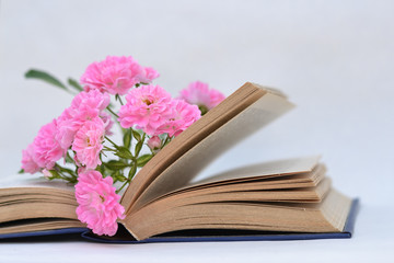Beautiful flowers lying in the open book.