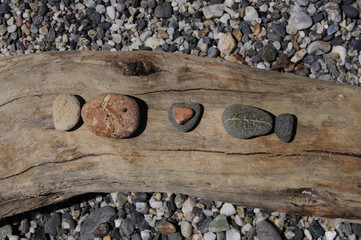 stone fishes heart