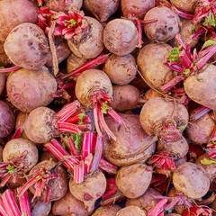 organic beetroots top view closeup, natural background