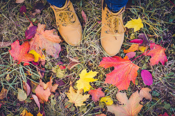 Casual unisex boots with colorful autumn fallen leaves.