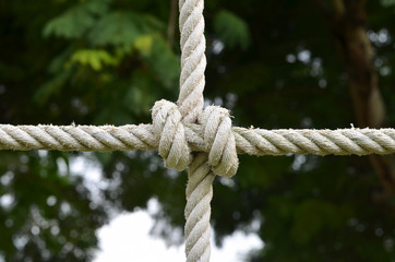 Rope knot line tied together with nature background,as a symbol for trust, teamwork,harmony or collaboration. 