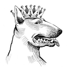 Royal pit bull dog