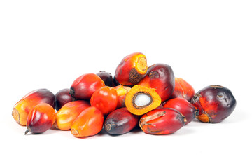 Oil Palm Fruit Product