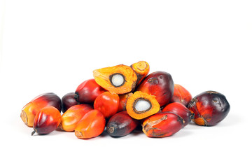 Oil Palm Fruit Product