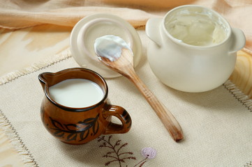 Obraz na płótnie Canvas Milk and sour cream in a pot
