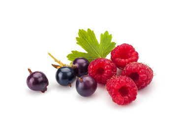 Blackcurrants with raspberries