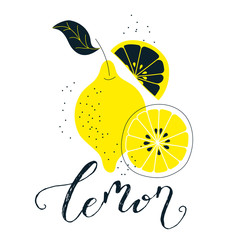 Hand drawn lemon illustration with lettering. Fresh natural fruit background. Vector banner, paster, package design. Natural food market concept. Organic design.