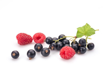 Blackcurrants with raspberries