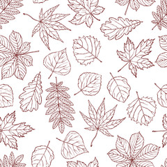 Pretty seamless pattern made of different types of tree leaves.
