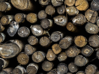 Fire woods background