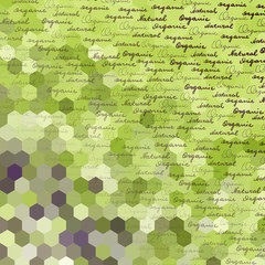 Pattern with the original lettering Organic and Natural on a green low poly background.