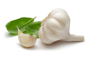 Garlic