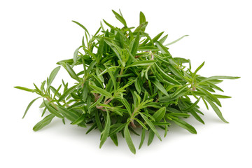 Thyme