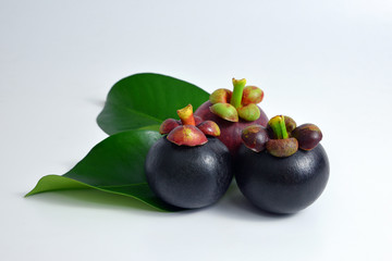 Mangosteens on white background.