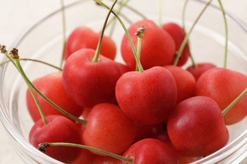 さくらんぼ　Cherries