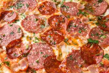 Close-up big sausage pizza for background