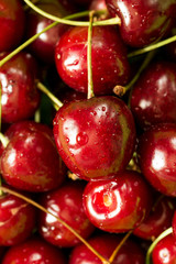 Sweet ripe red cherries close up with water drops