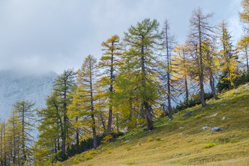 Fototapeta na wymiar Hike from Vršič to the beautiful Slemenova Špica in Juian Alps