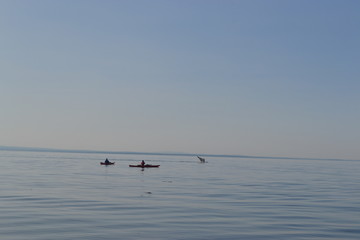 kayak et  queue de baleine bleue