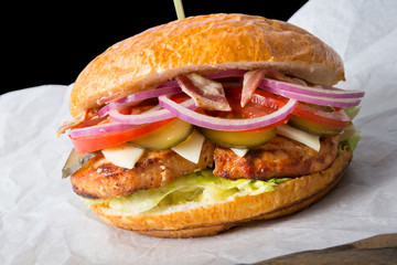 Huge burger on a wrapping paper