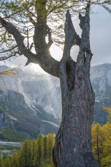 Hike from Vršič to the beautiful Slemenova Špica in Juian Alps