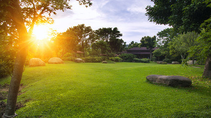 Sunset in a garden.