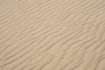 Sandy dune close up
