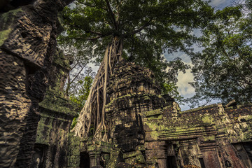 Angkor Wat Cambodia