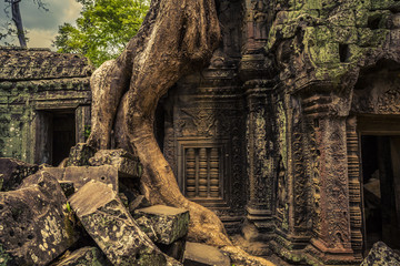 Angkor Wat Cambodia