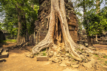 Angkor Wat Cambodia