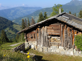 retour aux sources dans nos chalets alpins !