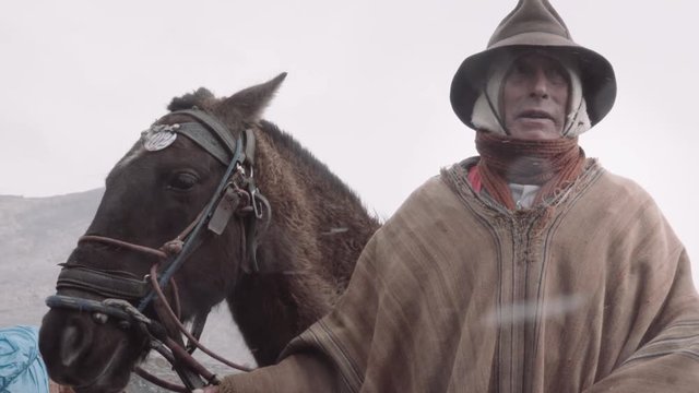 Peruvian muleteer with his horse during a snowfall near the Nevado Pastoruri. 4k	