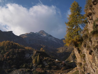 Alps autumn
