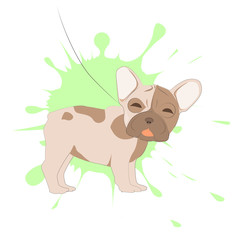 French bulldog portrait on a background of blots. Head of dog vector illustration. Pretty puppy cartoon character.

