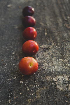 Wild plums in a row