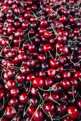 Fresh berries of cherry and black currant