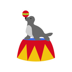 Seal in circus
