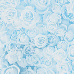Panele Szklane Podświetlane  Niewyraźne słodkie róże w stylu pastelowych kolorów na miękkim rozmyciu tekstury bokeh na tle