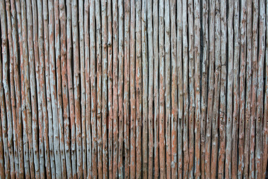 seamless natural texture of vertical bamboo wall