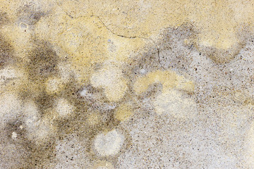 Old grunge textures backgrounds. Perfect background with space.