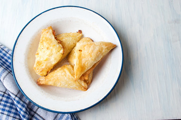 Homemade triangle salty pie pieces