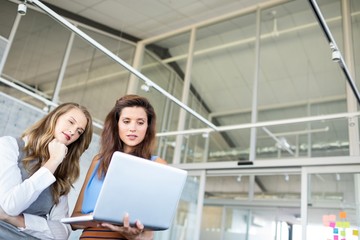Female executives using laptop
