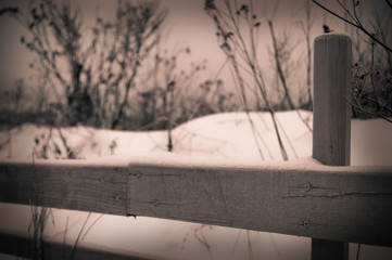 Snow covered fence