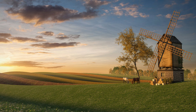 3d Rendering of Fields with a Windmill at Dawn