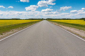 road  flowering fields under the blue sky